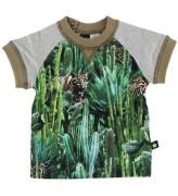Molo T-shirt - Eton - Cactus Bite