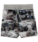 Molo Shorts - Simroy - Offroad Buggy