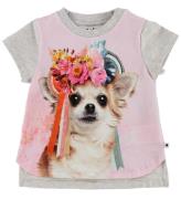Molo T-shirt - Erin - Chihuahua
