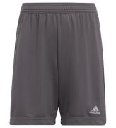 adidas Performance Shorts - Entrada 22 - GrÃ¥