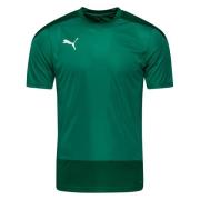PUMA Trænings T-Shirt teamGOAL 23 - Grøn/Grøn Børn