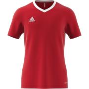 adidas Trænings T-Shirt Entrada 22 - Rød/Hvid