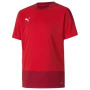 PUMA Trænings T-Shirt teamGOAL 23 - Rød/Rød Børn