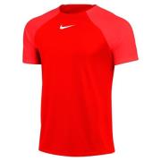 Nike Trænings T-Shirt Dri-FIT Academy Pro - Rød/Rød/Hvid
