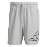 adidas Træningsshorts Train Icons - Grå