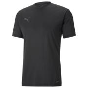 PUMA Trænings T-Shirt individualLIGA Warm - Sort