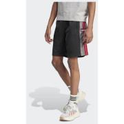 Adidas Original Adicolor Adibreak shorts