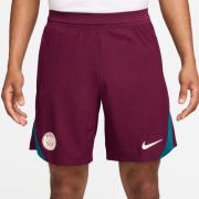 Paris Saint-Germain Træningsshorts Dri-FIT ADV Strike Elite - Bordeaux...