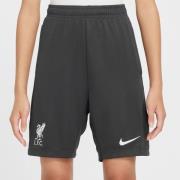 Liverpool Træningsshorts Dri-FIT Academy Pro - Grå/Hvid Børn